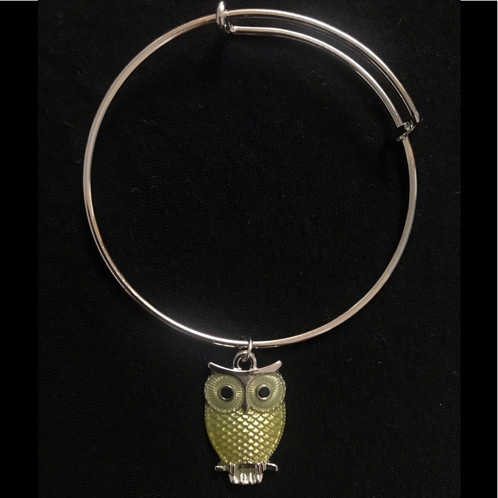 Owl Charm Bracelet